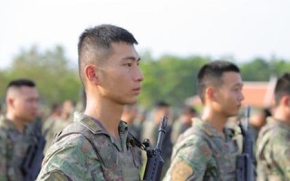 《坦克尖兵夏迪坦克羁绊搭配详解》（夏迪坦克）