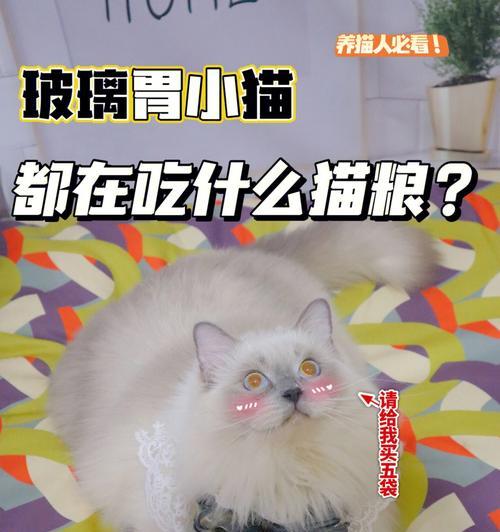 猫咪公寓2中猫咪恋爱生小猫的正确方法是什么？-第1张图片-百团游戏